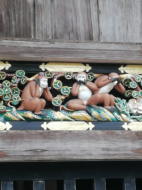 f:id:cheeriohappa:20201117064550j:image f:id:cheeriohappa:20201117064550j:image