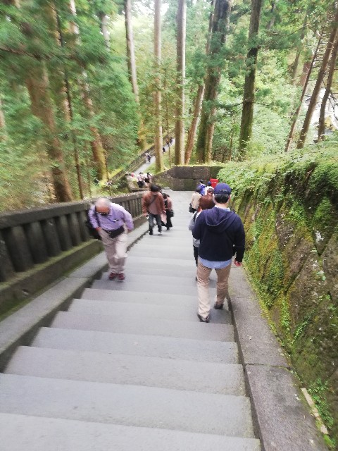 f:id:cheeriohappa:20201117065550j:image f:id:cheeriohappa:20201117065550j:image
