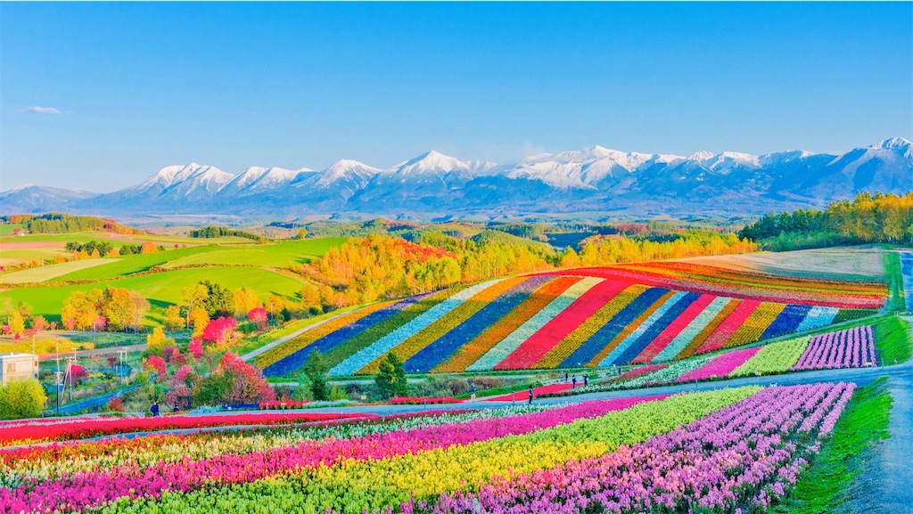 f:id:cheerrami:20210205124904j:image