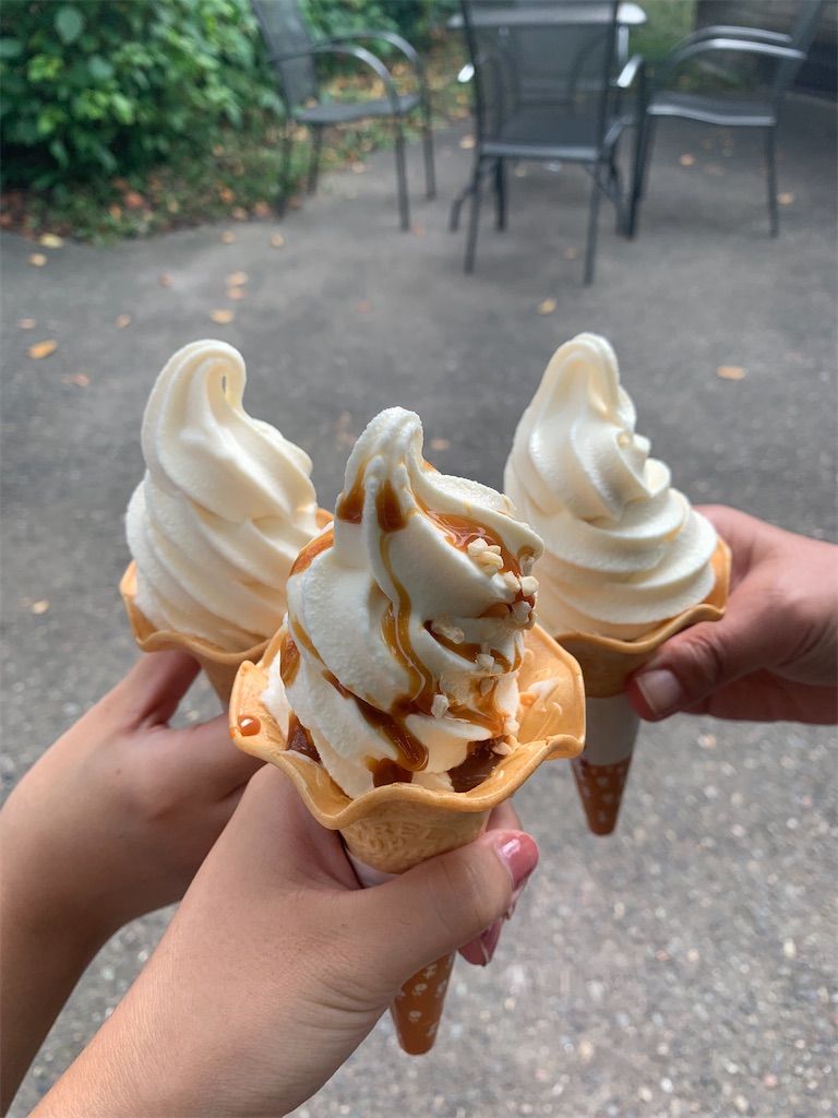 f:id:cheese-lovelove:20221005072448j:image f:id:cheese-lovelove:20221005072448j:image