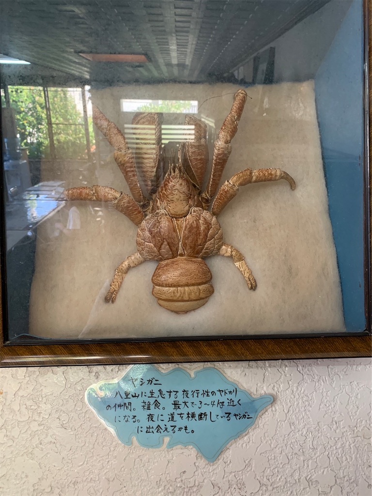 f:id:cheese-lovelove:20230822152933j:image f:id:cheese-lovelove:20230822152933j:image