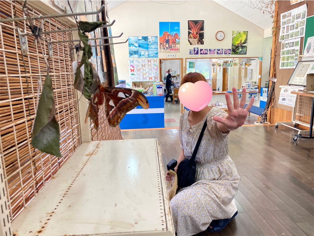 f:id:cheese-lovelove:20230823105024j:image f:id:cheese-lovelove:20230823105024j:image