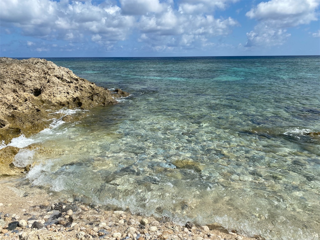 f:id:cheese-lovelove:20230823105249j:image f:id:cheese-lovelove:20230823105249j:image