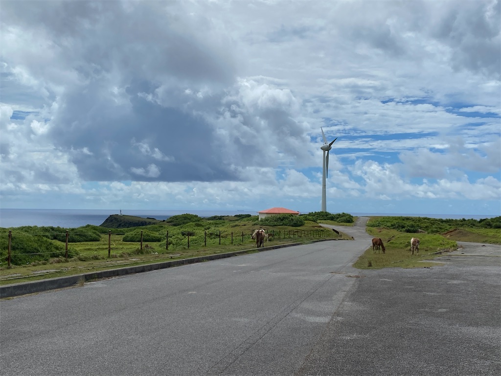 f:id:cheese-lovelove:20230829102124j:image f:id:cheese-lovelove:20230829102124j:image