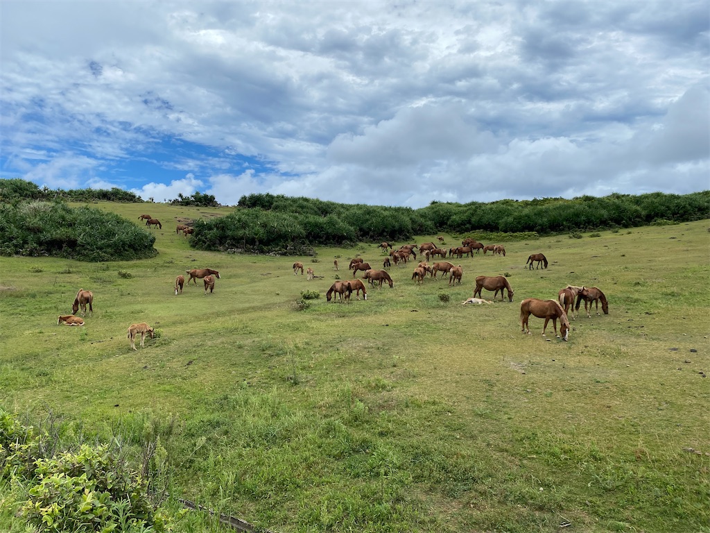 f:id:cheese-lovelove:20230829102128j:image f:id:cheese-lovelove:20230829102128j:image