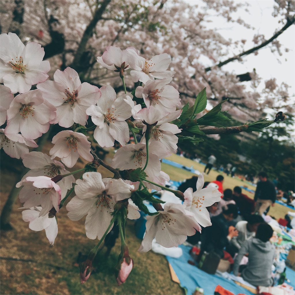 f:id:cheesemochi:20180329021634j:image f:id:cheesemochi:20180329021634j:image