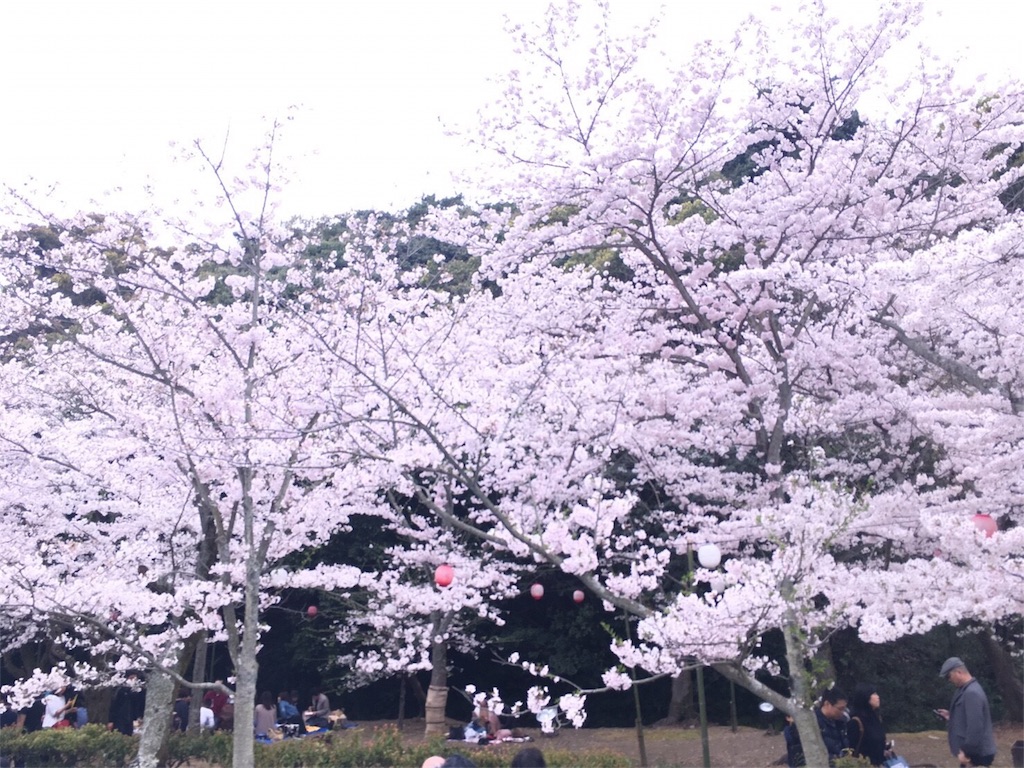 f:id:cheesemochi:20180329021821j:image f:id:cheesemochi:20180329021821j:image