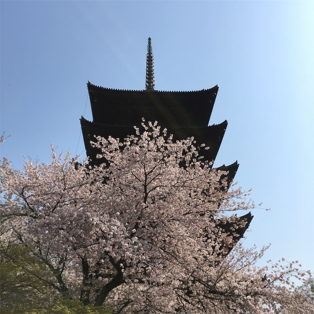 f:id:cheesemochi:20180329022249j:image f:id:cheesemochi:20180329022249j:image