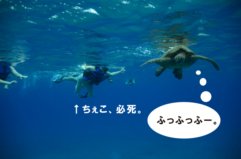 f:id:cheko8:20160615173051j:plain f:id:cheko8:20160615173051j:plain