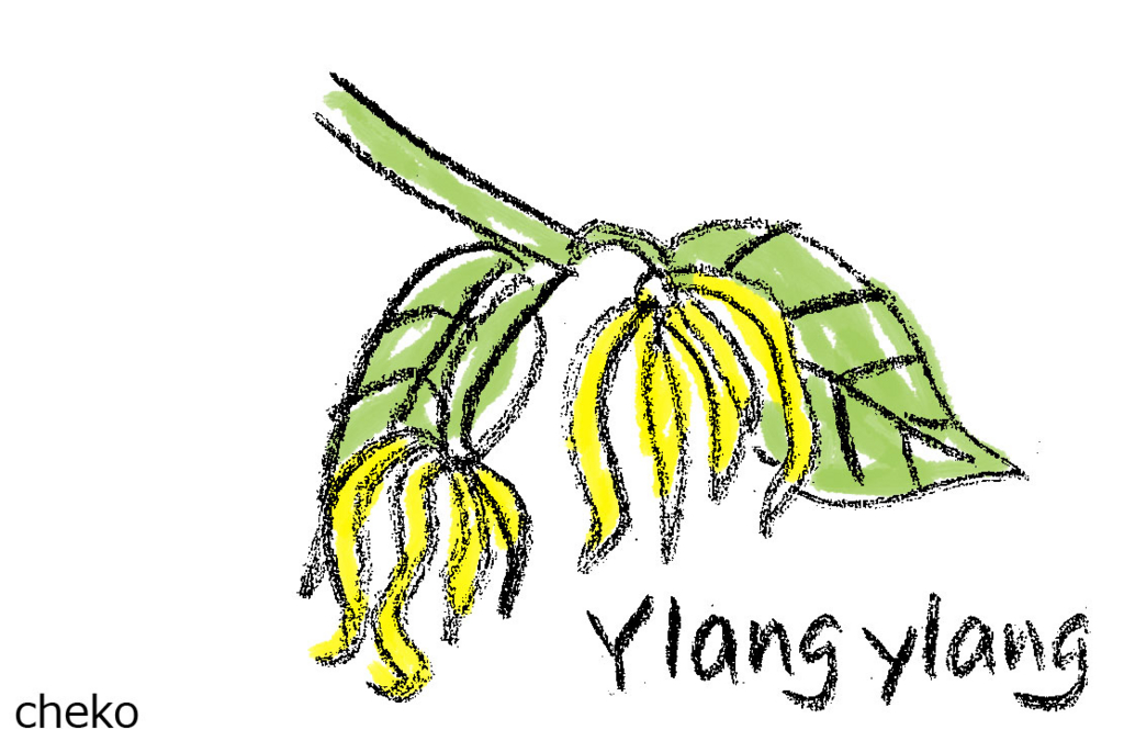 f:id:cheko8:20160623225537j:plain f:id:cheko8:20160623225537j:plain