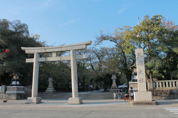 f:id:cheko8:20161111224518j:plain f:id:cheko8:20161111224518j:plain