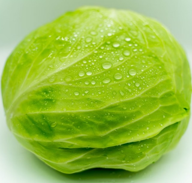 f:id:chelsea1000:20220305083258j:image