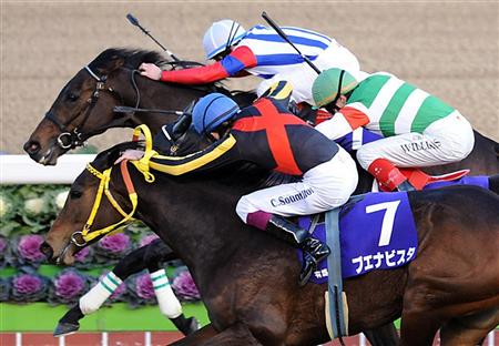 ヴィクトワールピサ_有馬記念 画像