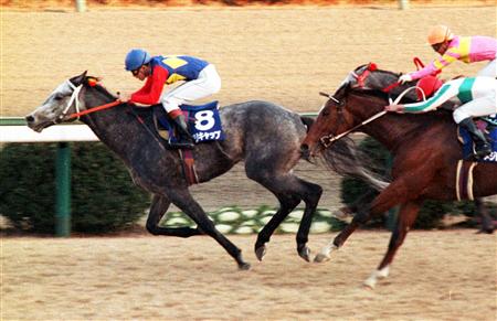 オグリキャップ_有馬記念1990 画像