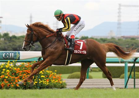 オルフェーヴル_神戸新聞杯 画像
