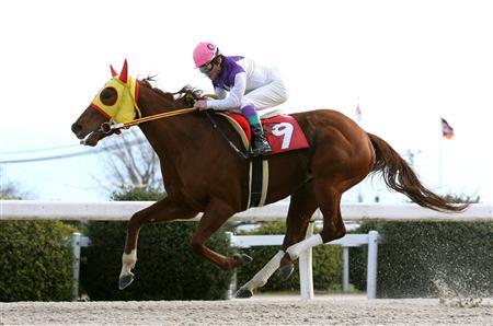 ラブミーチャン_ゴールドジュニア