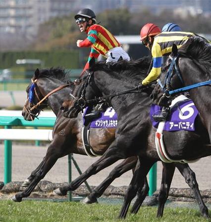 キンシャサノキセキ_高松宮記念2011.JPG 画像