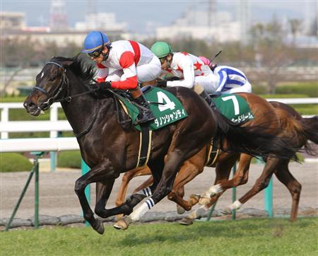 ダノンシャンティ_毎日杯 画像