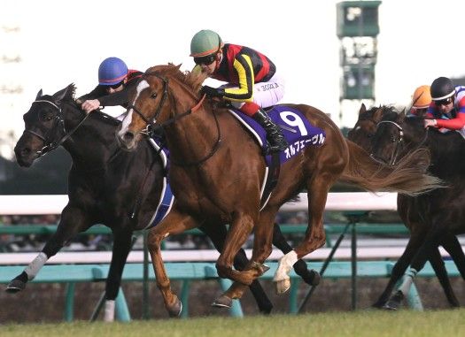 オルフェーヴル_有馬記念 画像