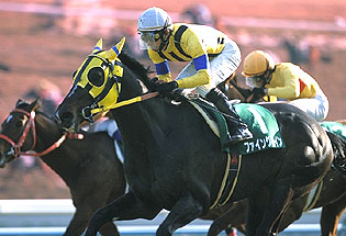 ファイングレイン_シルクロードS