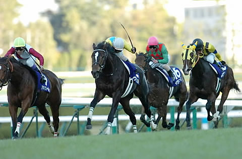 ウオッカ_阪神JF ウオッカ_阪神JF