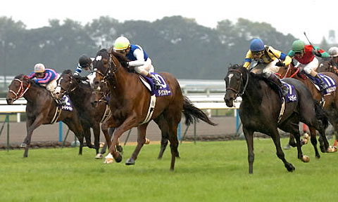 ダイワメジャー_マイルCS2006