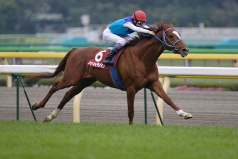 アドマイヤメイン_青葉賞 アドマイヤメイン_青葉賞