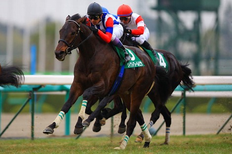 ヴィクトワールピサ_ラジオNIKKEI杯