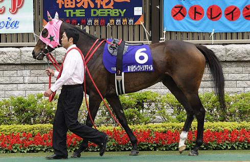 ラインクラフト ラインクラフト