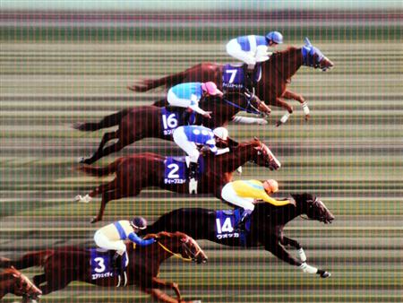 天皇賞写真判定