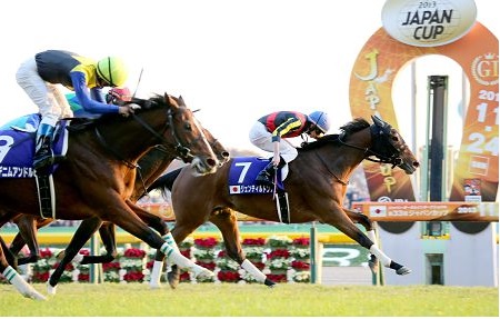 ジェンティルドンナ_JC2013