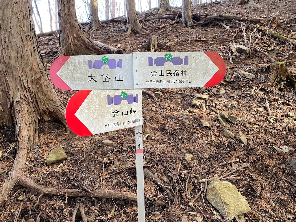 f:id:chelseayama:20220122202833j:image f:id:chelseayama:20220122202833j:image