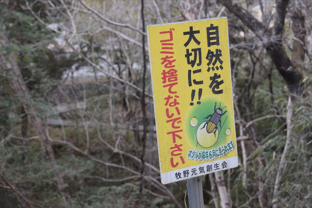 f:id:chelseayama:20220206162842j:image f:id:chelseayama:20220206162842j:image