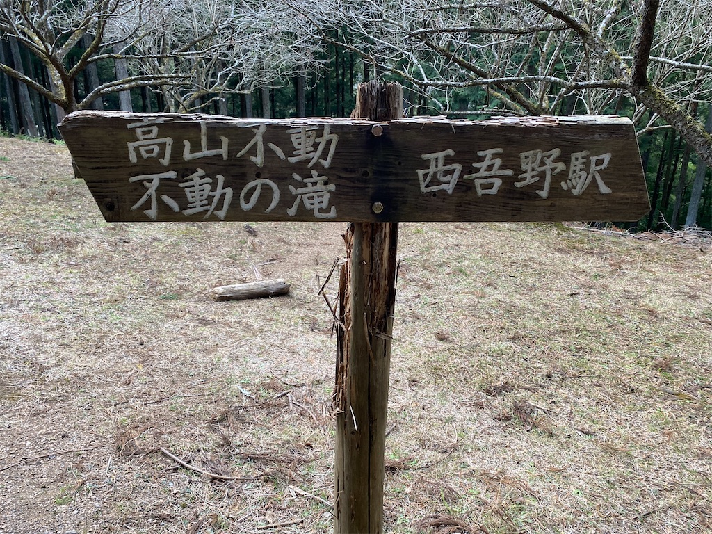 f:id:chelseayama:20230124113430j:image f:id:chelseayama:20230124113430j:image