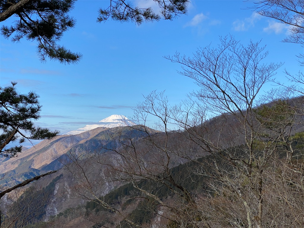 f:id:chelseayama:20230217153954j:image f:id:chelseayama:20230217153954j:image