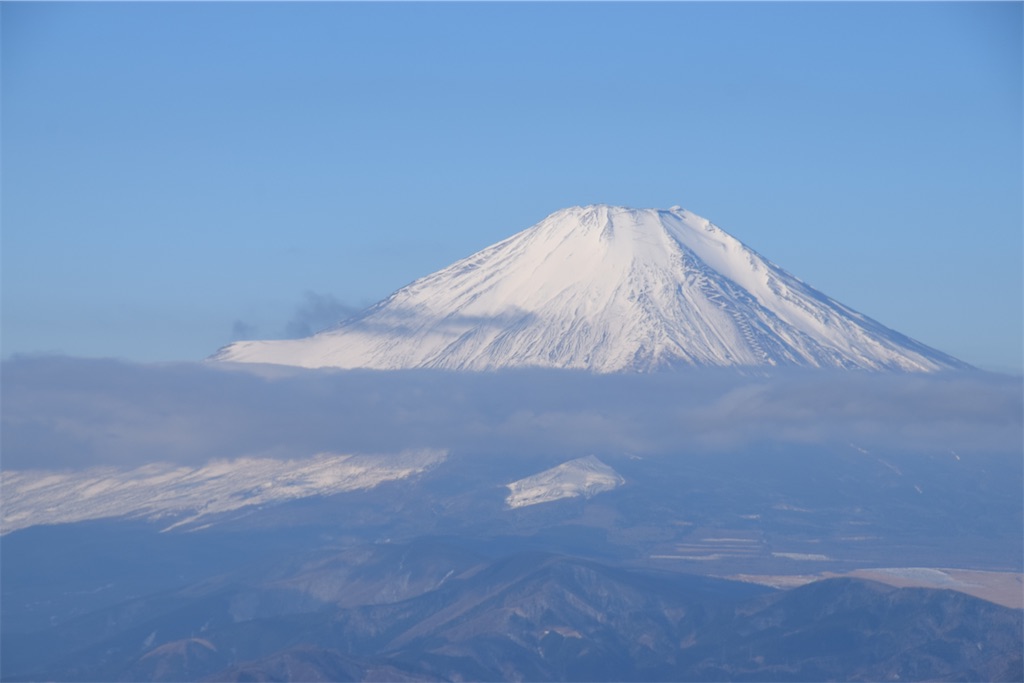 f:id:chelseayama:20230217161038j:image f:id:chelseayama:20230217161038j:image