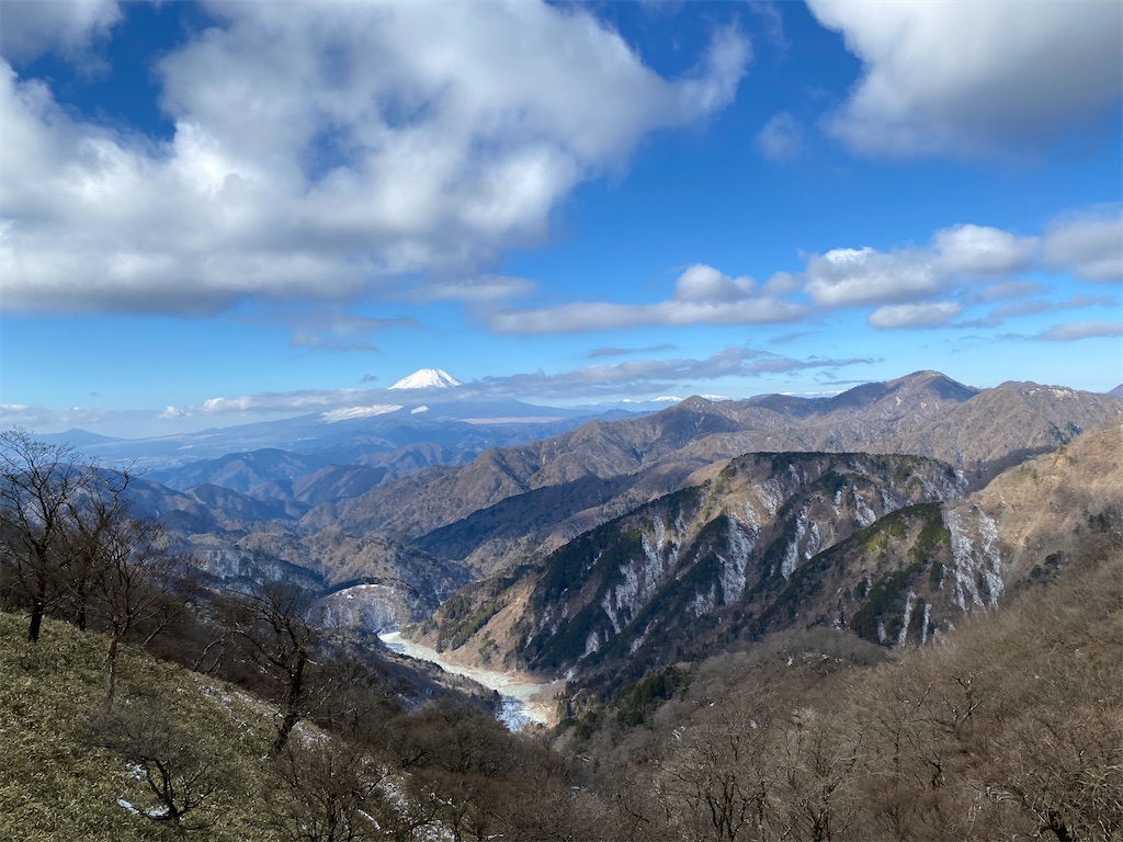 f:id:chelseayama:20230217161855j:image f:id:chelseayama:20230217161855j:image