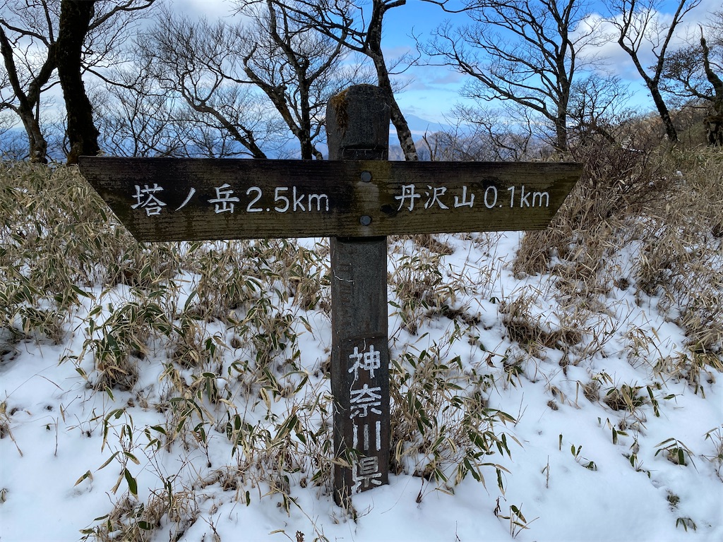 f:id:chelseayama:20230217162448j:image f:id:chelseayama:20230217162448j:image