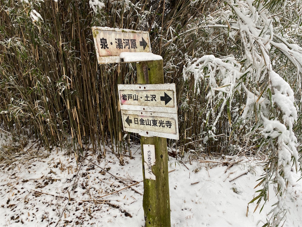 f:id:chelseayama:20230223113748j:image f:id:chelseayama:20230223113748j:image