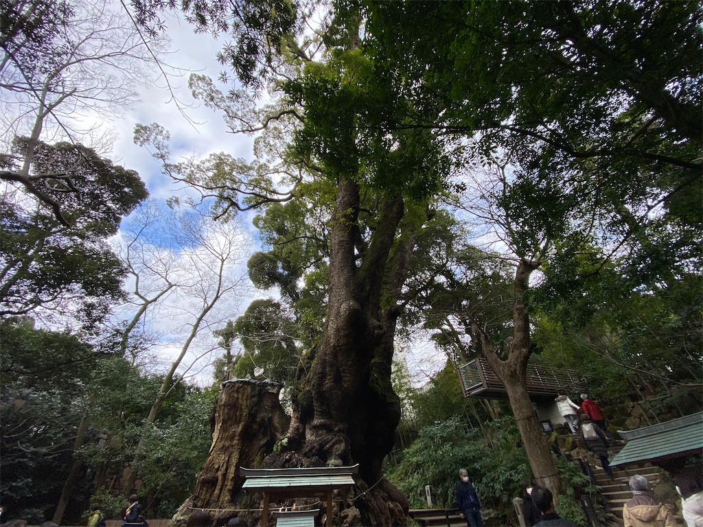 f:id:chelseayama:20230223142758j:image f:id:chelseayama:20230223142758j:image