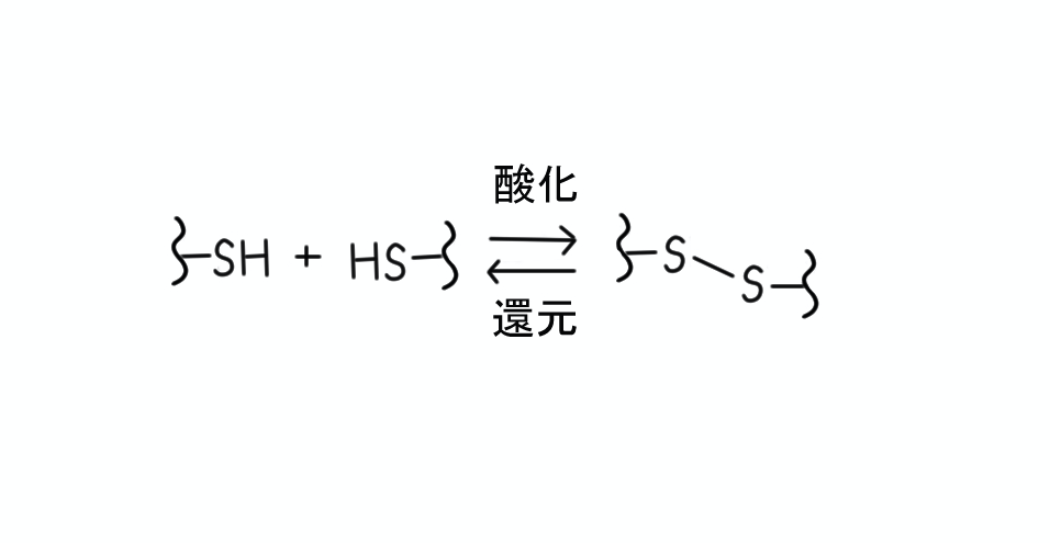 f:id:chemist-programming:20200220103116p:plain