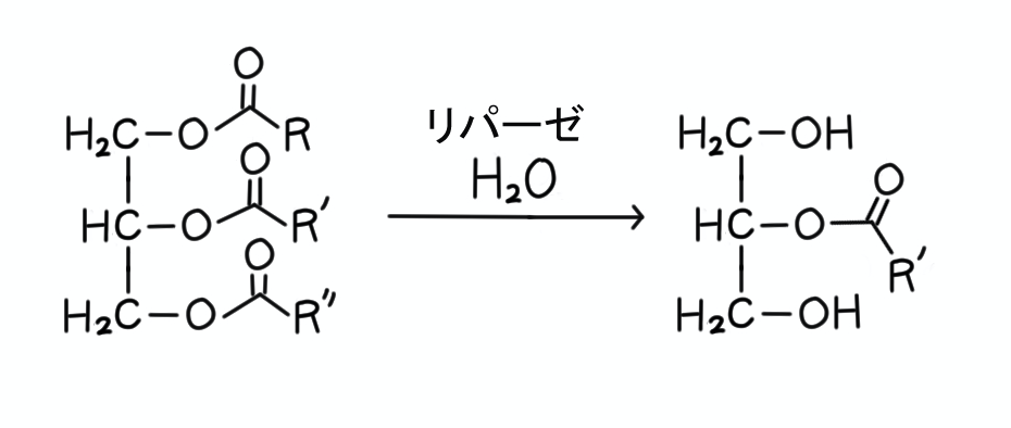 f:id:chemist-programming:20200220111205p:plain