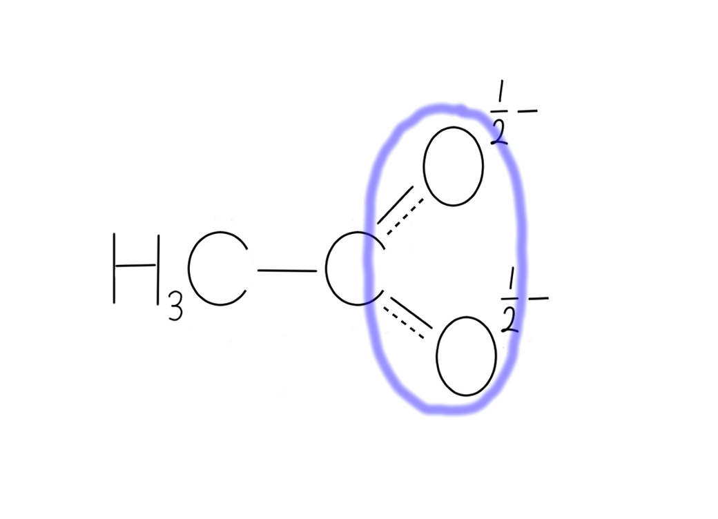 f:id:chemist-programming:20210511134358j:plain