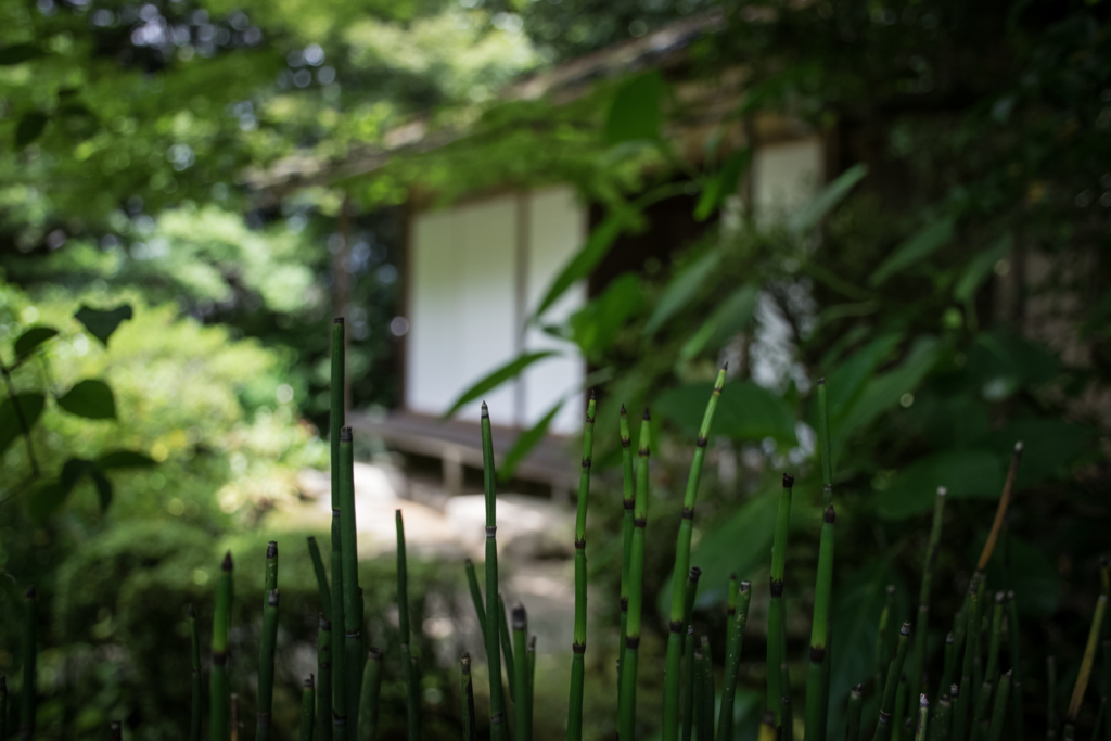 f:id:chemneko:20170702005413j:plain f:id:chemneko:20170702005413j:plain