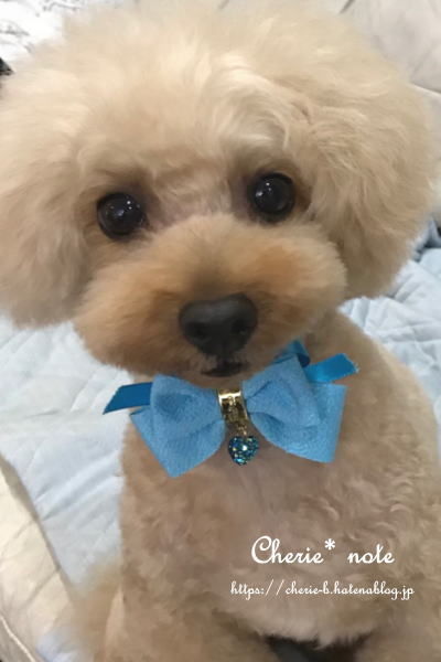 f:id:cherie-b:20180903110758j:plain