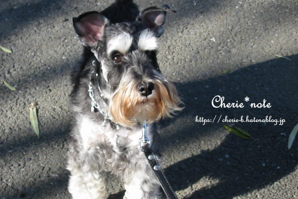 f:id:cherie-b:20181005175912j:plain
