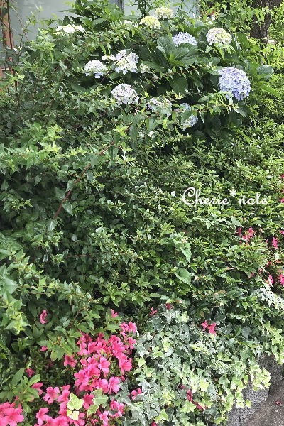 f:id:cherie-b:20190603154345j:plain