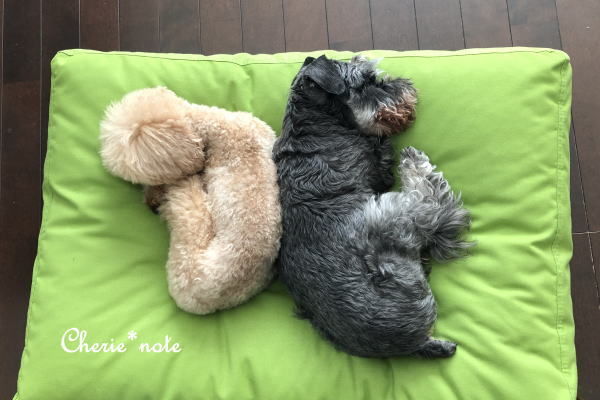 f:id:cherie-b:20190605140943j:plain