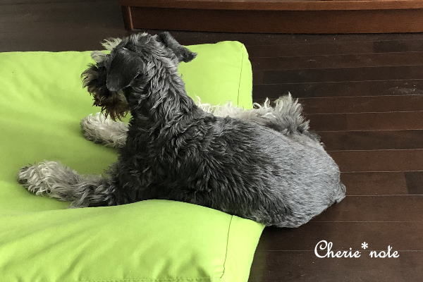 f:id:cherie-b:20190605140944j:plain