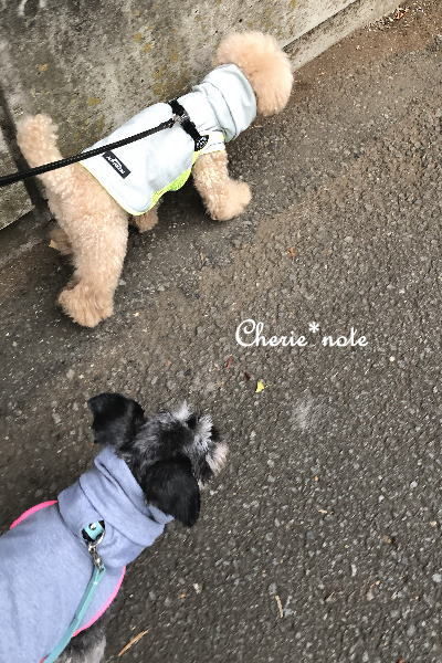 f:id:cherie-b:20190813151403j:plain